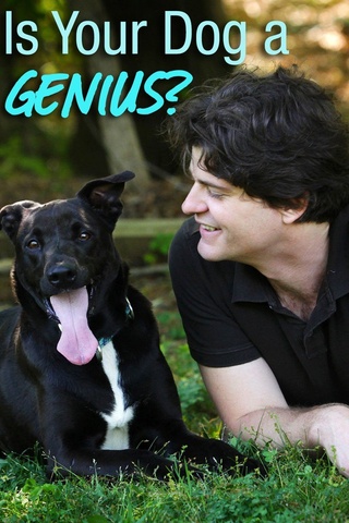 Is Your Dog a Genius?