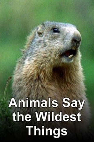 Animals Say the Wildest Things