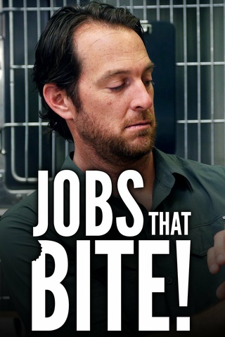 Jobs That Bite!