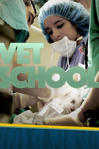 Vet School