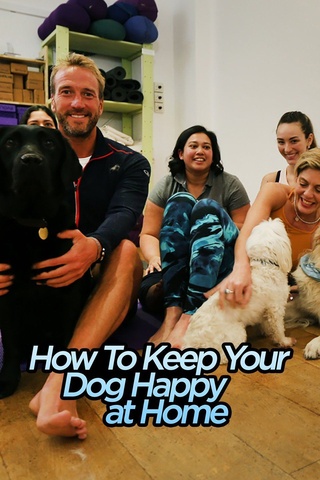 How to Keep Your Dog Happy at Home