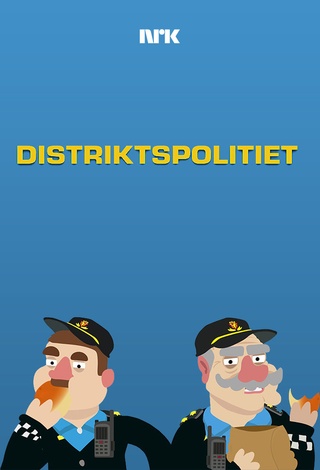 Distriktspolitiet