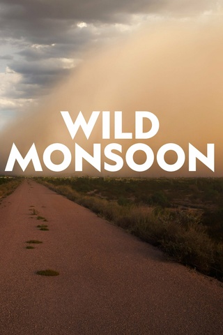 Wild Monsoon