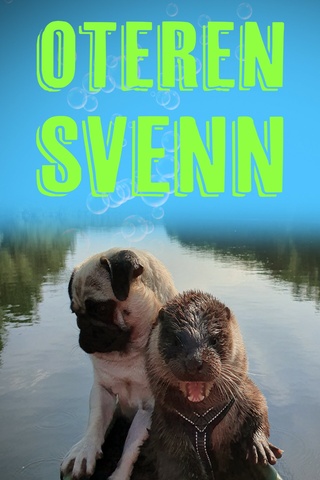 Oteren Svenn