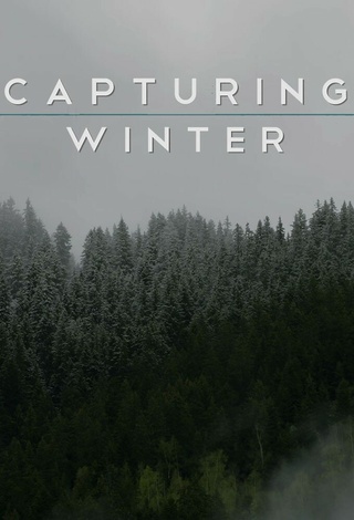 Capturing Winter