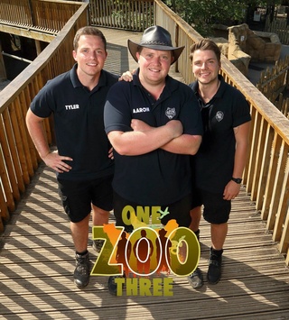 One Zoo Three