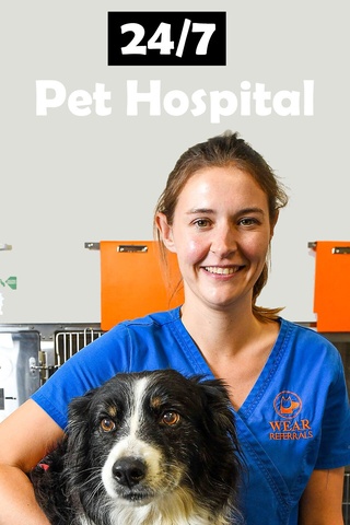 24/7 Pet Hospital