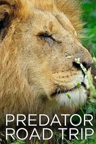 Predator Road Trip