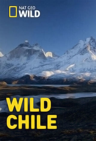 Wild Chile