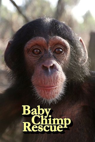 Baby Chimp Rescue