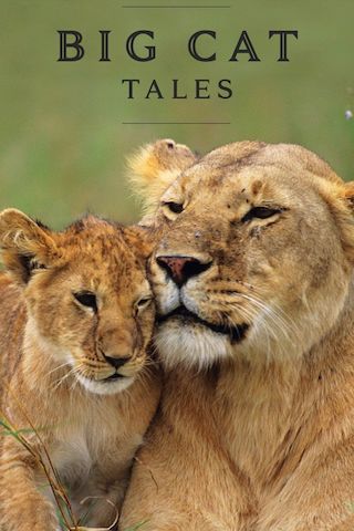 Big Cat Tales