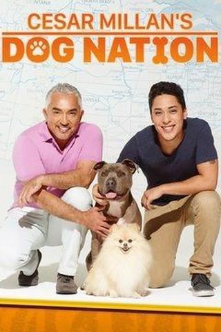 Cesar Millan's Dog Nation