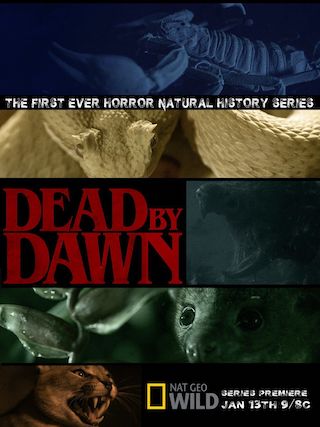 Dead by Dawn