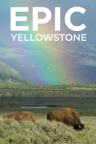 Epic Yellowstone