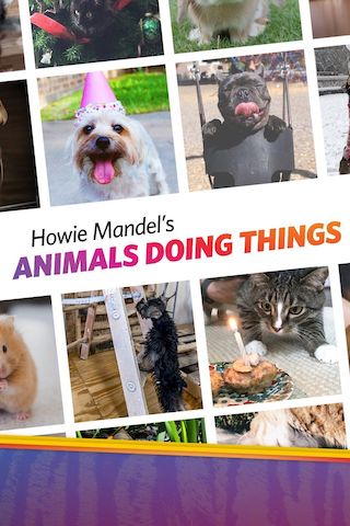 Howie Mandel's Animals Doing Things