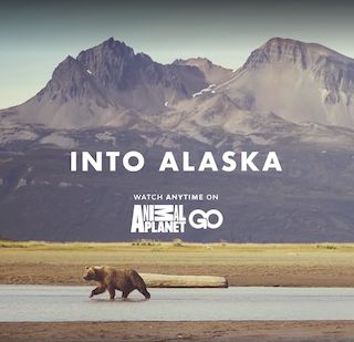 Into Alaska