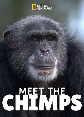 Meet the Chimps