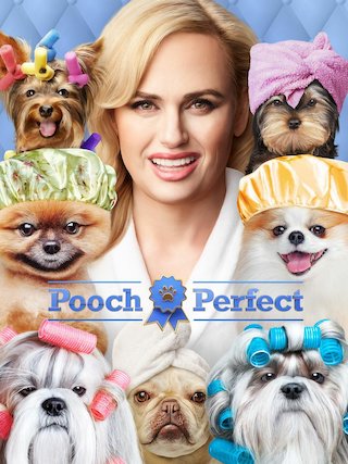 Pooch Perfect