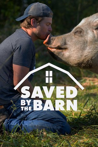 Saved by the Barn