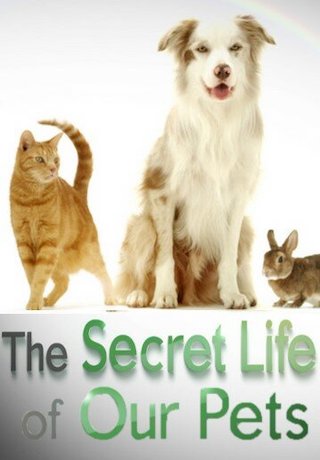 The Secret Life of Our Pets