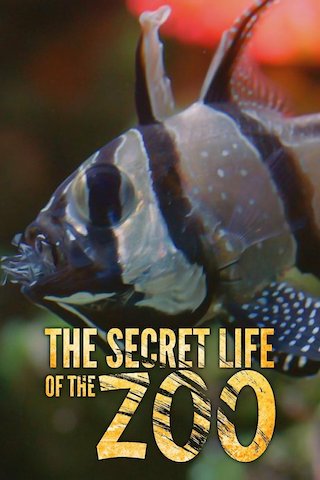 The Secret Life of the Zoo