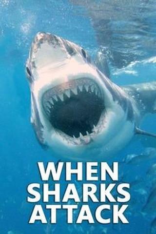 When Sharks Attack