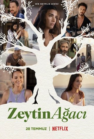 Zeytin Ağacı